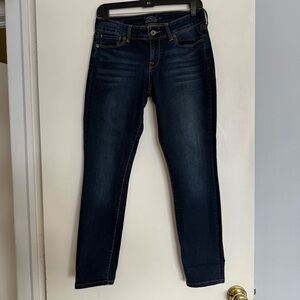 Lucky Brand Dark Indigo Lolita Skinny Jeans